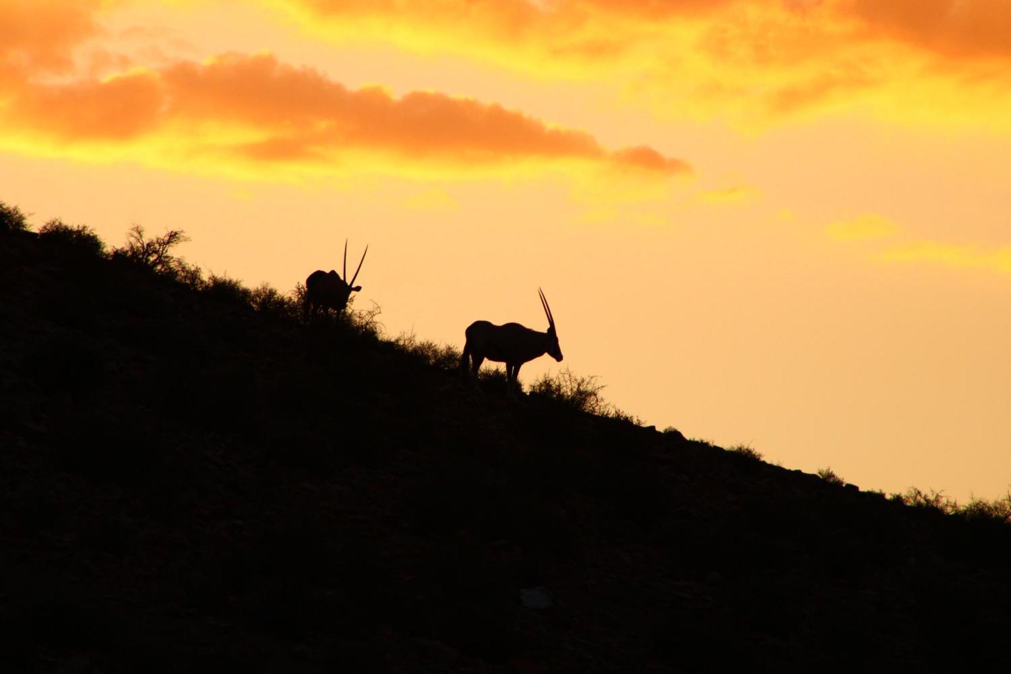 Bosch Luys Kloof Nature Reserve Ледисмит Экстерьер фото