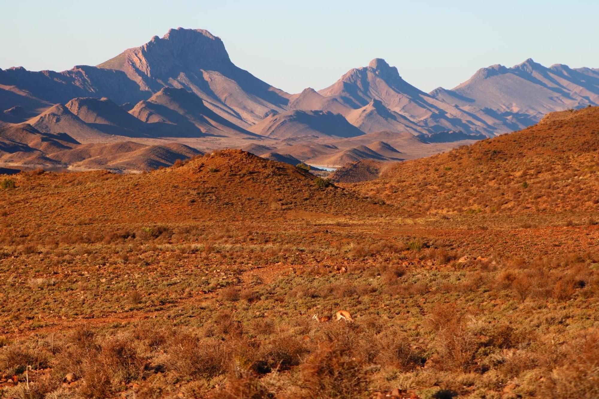 Bosch Luys Kloof Nature Reserve Ледисмит Экстерьер фото