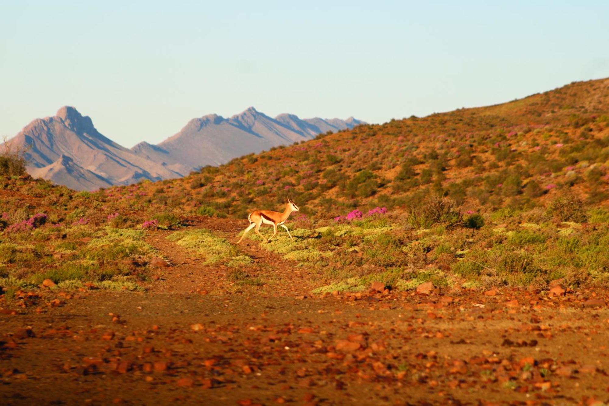 Bosch Luys Kloof Nature Reserve Ледисмит Экстерьер фото